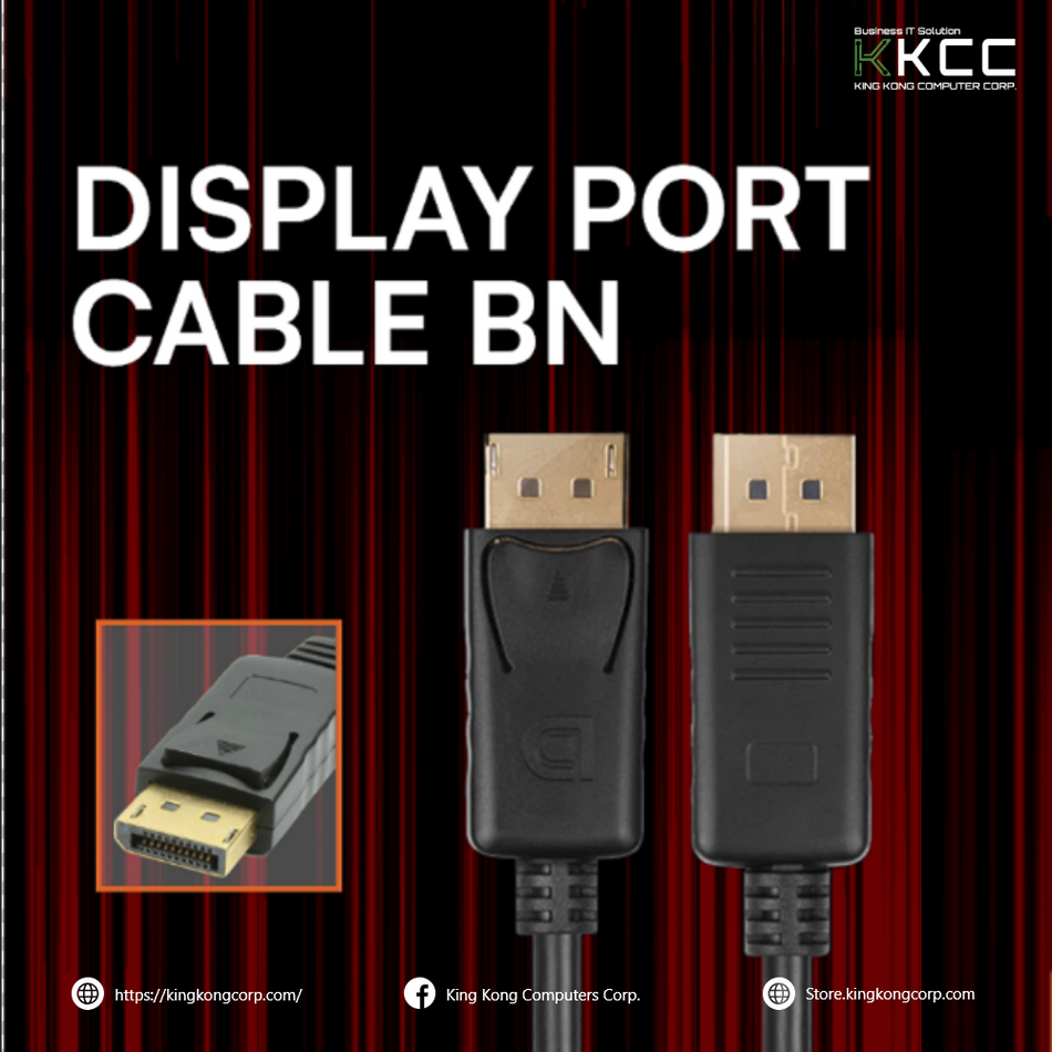 DISPLAY PORT CABLE BN