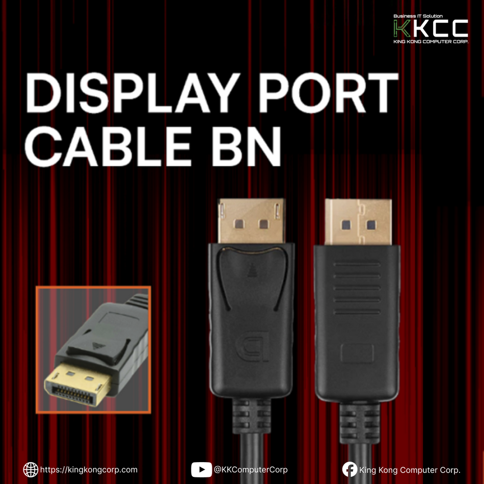 DISPLAY PORT CABLE BN
